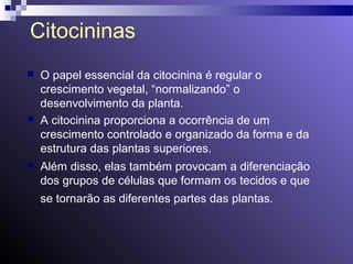 Citocininas 
 O papel essencial da citocinina é regular o 
crescimento vegetal, “normalizando” o 
desenvolvimento da planta. 
 A citocinina proporciona a ocorrência de um 
crescimento controlado e organizado da forma e da 
estrutura das plantas superiores. 
 Além disso, elas também provocam a diferenciação 
dos grupos de células que formam os tecidos e que 
se tornarão as diferentes partes das plantas. 
 