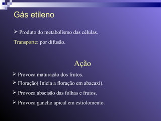 Gás etileno 
 Produto do metabolismo das células. 
Transporte: por difusão. 
Ação 
 Provoca maturação dos frutos. 
 Floração( Inicia a floração em abacaxi). 
 Provoca abscisão das folhas e frutos. 
 Provoca gancho apical em estiolomento. 
 