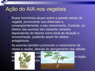 Ação do AIA nos vegetais 
 Esses hormônios atuam sobre a parede celular do 
vegetal, provocando sua distensão e, 
conseqüentemente, o seu crescimento. Contudo, os 
efeitos das auxinas são bastante variados, 
dependendo de fatores como local de atuação e 
concentração, podendo assim ter efeitos 
antagônicos. 
 As auxinas também promovem o crescimento de 
raízes e caules, através do alongamento das células 
recém-formadas nos meristemas, porém a 
sensibilidade das células à auxina varia de um órgão 
da planta para outro. 
 