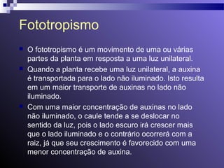 Fototropismo 
 O fototropismo é um movimento de uma ou várias 
partes da planta em resposta a uma luz unilateral. 
 Quando a planta recebe uma luz unilateral, a auxina 
é transportada para o lado não iluminado. Isto resulta 
em um maior transporte de auxinas no lado não 
iluminado. 
 Com uma maior concentração de auxinas no lado 
não iluminado, o caule tende a se deslocar no 
sentido da luz, pois o lado escuro irá crescer mais 
que o lado iluminado e o contrário ocorrerá com a 
raiz, já que seu crescimento é favorecido com uma 
menor concentração de auxina. 
 