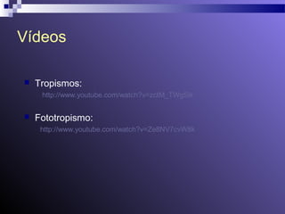 Vídeos 
 Tropismos: 
http://www.youtube.com/watch?v=zctM_TWg5Ik 
 Fototropismo: 
http://www.youtube.com/watch?v=Ze8NV7cvW8k 

