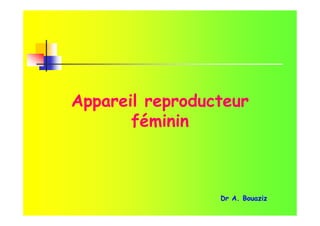Appareil reproducteur
féminin
Dr A. Bouaziz
 