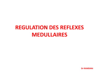 REGULATION DES REFLEXES
MEDULLAIRES
Dr RAMDANI
 
