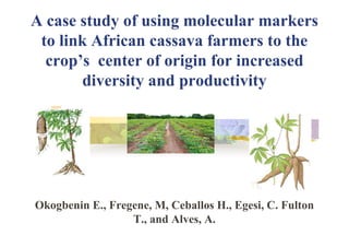 A case study of using molecular markers
to link African cassava farmers to the
crop’s center of origin for increased
diversity and productivity
Okogbenin E., Fregene, M, Ceballos H., Egesi, C. Fulton
T., and Alves, A.
 