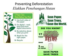 Preventing Deforestation
Elakkan Penebangan Hutan
 