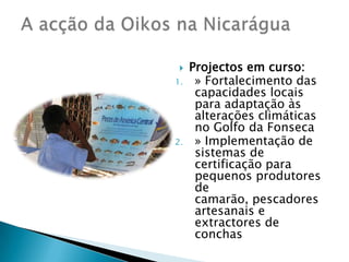 A acção da Oikos na Nicarágua Projectos em curso:» Fortalecimento das capacidades locais para adaptação às alterações climáticas no Golfo da Fonseca» Implementação de sistemas de certificação para pequenos produtores de camarão, pescadores artesanais e extractores de conchas