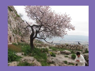 2º Encontro Multicultural Comenius