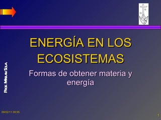 ENERGÍA EN LOS ECOSISTEMAS Formas de obtener materia y energía 