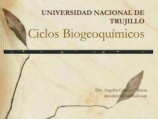 UNIVERSIDAD NACIONAL DE
TRUJILLO
Ciclos Biogeoquímicos
Dra. Angelita Cabrera Cabrera
atccabrera@hotmail.com
 
