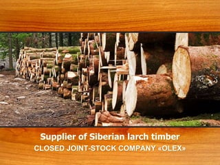 Supplier of Siberian larch timber
CLOSED JOINT-STOCK COMPANY «OLEX»
 