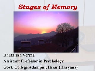 Stages of memory formation | PPT