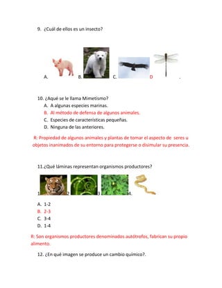 9. ¿Cuál de ellos es un insecto?

A.

B.

C.

D

.

10. ¿Aqué se le llama Mimetismo?
A. A algunas especies marinas.
B. Al método de defensa de algunos animales.
C. Especies de características pequeñas.
D. Ninguna de las anteriores.
R: Propiedad de algunos animales y plantas de tomar el aspecto de seres u
objetos inanimados de su entorno para protegerse o disimular su presencia.

11.¿Qué láminas representan organismos productores?

1
A.
B.
C.
D.

2

3

4.

1-2
2-3
3-4
1-4

R: Son organismos productores denominados autótrofos, fabrican su propio
alimento.
12. ¿En qué imagen se produce un cambio químico?.

 