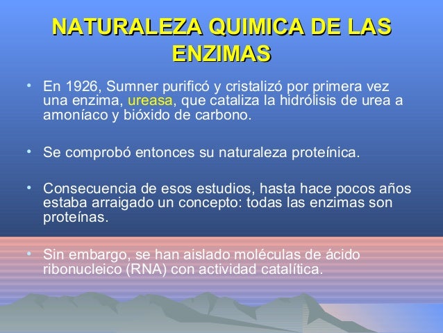 2 enzimasveterinaria