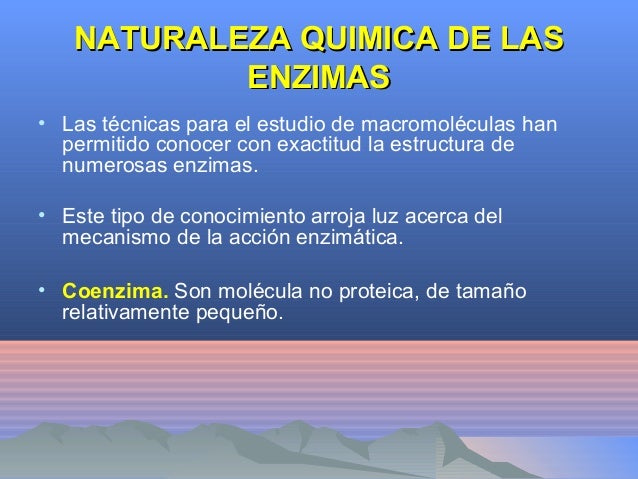 2 enzimasveterinaria