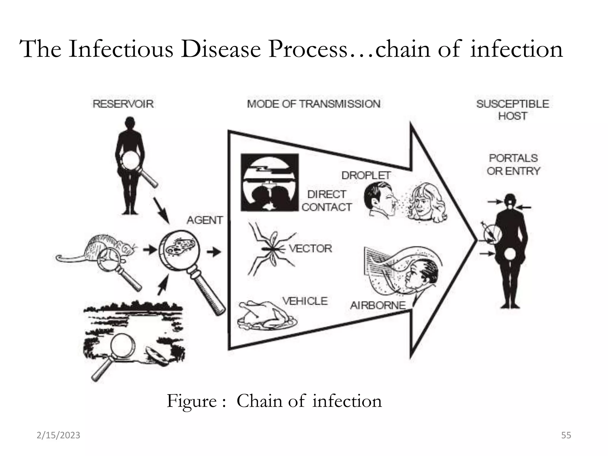 2 Epidemiological concept of disease causation .pptx