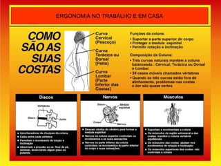 ERGONOMIA NO TRABALHO E EM CASA
 