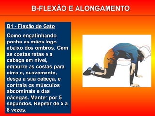 B1 - Flexão de GatoB1 - Flexão de Gato
Como engatinhandoComo engatinhando
ponha as mãos logoponha as mãos logo
abaixo dos ombros. Comabaixo dos ombros. Com
as costas retas e aas costas retas e a
cabeça em nível,cabeça em nível,
empurre as costas paraempurre as costas para
cima e, suavemente,cima e, suavemente,
desça a sua cabeça, edesça a sua cabeça, e
contraia os músculoscontraia os músculos
abdominais e dasabdominais e das
nádegas. Manter por 5nádegas. Manter por 5
segundos. Repetir de 5 àsegundos. Repetir de 5 à
8 vezes.8 vezes.
B-FLEXÃO E ALONGAMENTOB-FLEXÃO E ALONGAMENTO
 