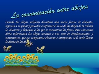 abejas
entre
cación
comuni
La

Cuando las abejas melíferas descubren una nueva fuente de alimento,
regresan a su panal y proceden a informar al resto de las abejas de la colonia
la ubicación y distancia a las que se encuentran las flores. Para transmitir
dicha información las abejas recurren a una serie de desplazamientos y
movimientos, que sus compañeras observan e interpretan, se le suele llamar
la danza de las abejas.

 