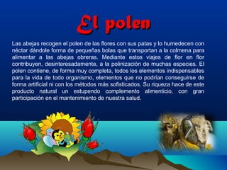 El polen
Las abejas recogen el polen de las flores con sus patas y lo humedecen con
néctar dándole forma de pequeñas bolas que transportan a la colmena para
alimentar a las abejas obreras. Mediante estos viajes de flor en flor
contribuyen, desinteresadamente, a la polinización de muchas especies. El
polen contiene, de forma muy completa, todos los elementos indispensables
para la vida de todo organismo, elementos que no podrían conseguirse de
forma artificial ni con los métodos más sofisticados. Su riqueza hace de este
producto natural un estupendo complemento alimenticio, con gran
participación en el mantenimiento de nuestra salud.

 