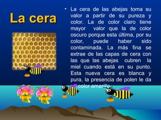 La cera

• La cera de las abejas toma su
valor a partir de su pureza y
color. La de color claro tiene
mayor valor que la de color
oscuro porque esta última, por su
color,
puede
haber
sido
contaminada. La más fina se
extrae de las capas de cera con
las que las abejas cubren la
miel cuando está en su punto.
Esta nueva cera es blanca y
pura, la presencia de polen le da
un color amarillo.

 