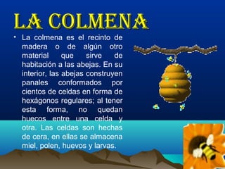 La coLmena
• La colmena es el recinto de
madera o de algún otro
material
que
sirve
de
habitación a las abejas. En su
interior, las abejas construyen
panales conformados por
cientos de celdas en forma de
hexágonos regulares; al tener
esta forma, no quedan
huecos entre una celda y
otra. Las celdas son hechas
de cera, en ellas se almacena
miel, polen, huevos y larvas.

 