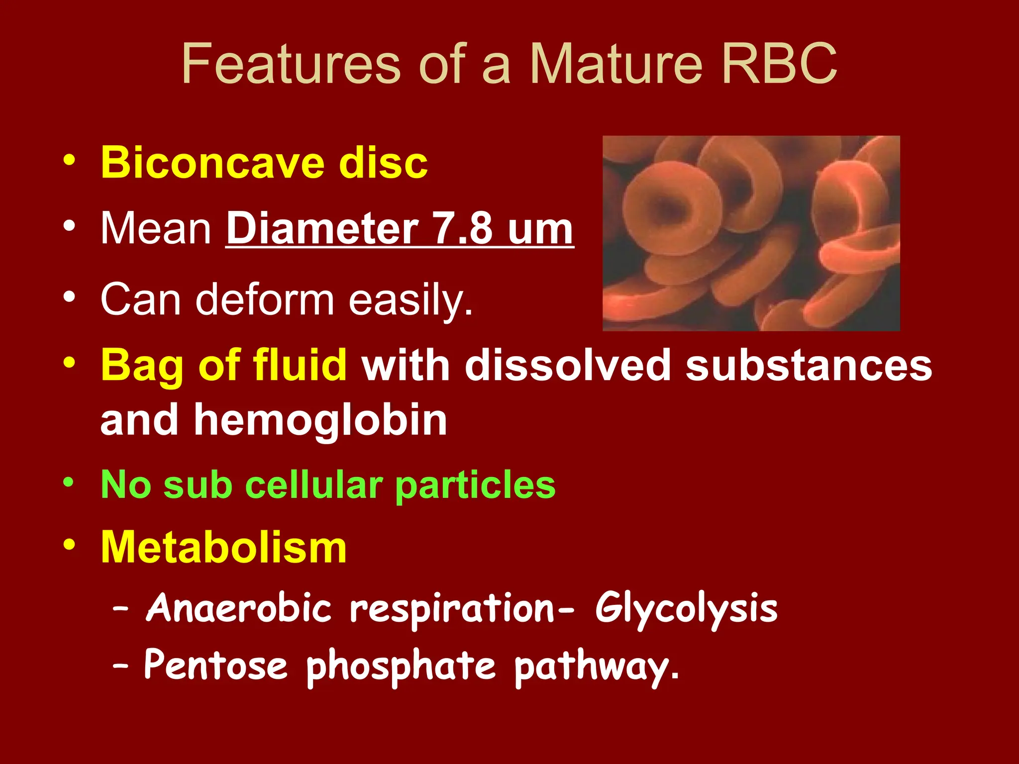 2 heamatology on the 2 ERYTHROPOIESIS.ppt