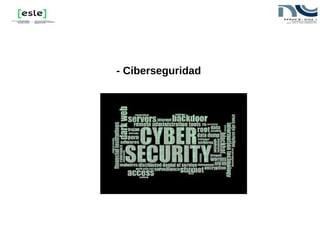 - Ciberseguridad
 