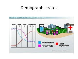 Population rates
 
