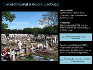 La mortalidad :
es el número de defunciones
registrados en en una población
durante un año.
Indicadores:
Tasa de mortalidad(TM): relación
entre el número de defunciones y la
población total
Tasa de mortalidad infantil (TMi):
relación entre el número de
defunciones de niños menores de un
año y los nacimientos registrados


total
Población
1000
x
año
un
en
s
Defuncione
TM


s
nacimiento
de
Total
1000
x
año
un
de
menores
fallecidos
Niños
TMI
2. MOVIMIENTOS NATURALES DE POBLACIÓN. La mortalidad
 