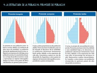 4. LA ESTRUCTURA DE LA POBLACIÓN. Pirámides de población
 