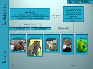 Tema 2:                    La Nutrición NUTRICIÓN ANIMALES ALIMENTACIÓN Proceso consistente el la ingestión de sustancias (alimentos). Es una fase del proceso de nutrición NUTRICIÓN Es el conjunto de procesos a través de los que los organismos vivos toman sustancias del medio exterior  y los transforman en materia propia y energía  Que no debe ser  confundida con la Y en función de la que los seres vivos se clasifican en Y que, en los organismos heterótrofos permite clasificarlos entre otros, en AUTÓTROFOS HETERÓTROFOS OMNÍVOROS CARNÍVOROS HERBÍVOROS CARROÑEROS FILTRADORES 1 Ciencias Naturales                                                                                          2ºESO 