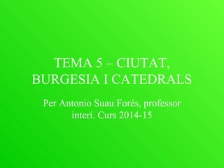 TEMA 5 – CIUTAT,
BURGESIA I CATEDRALS
Per Antonio Suau Forés, professor
interí. Curs 2014-15
 