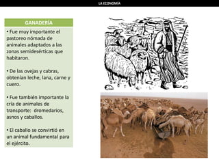 LA ECONOMÍA
GANADERÍA
• Fue muy importante el
pastoreo nómada de
animales adaptados a las
zonas semidesérticas que
habitaron.
• De las ovejas y cabras,
obtenían leche, lana, carne y
cuero.
• Fue también importante la
cría de animales de
transporte: dromedarios,
asnos y caballos.
• El caballo se convirtió en
un animal fundamental para
el ejército.
 