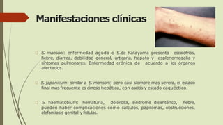 Manifestaciones clínicas
S. mansoni: enfermedad aguda o S.de Katayama presenta escalofríos,
fiebre, diarrea, debilidad general, urticaria, hepato y esplenomegalia y
síntomas pulmonares. Enfermedad crónica de acuerdo a los órganos
afectados.
S. japonicum: similar a S. mansoni, pero casi siempre mas severa, el estado
final mas frecuente es cirrosis hepática, con ascitis y estado caquéctico.
S. haematobium: hematuria, dolorosa, síndrome disentérico, fiebre,
pueden haber complicaciones como cálculos, papilomas, obstrucciones,
elefantiasis genital y fistulas.
 