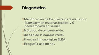 Diagnóstico
Identificación de los huevos de S.mansoni y
japonicum en materias fecales y S.
haematobium en laorina.
Métodos de concentración.
Biopsia de la mucosa rectal.
Pruebas inmunológicas ELISA
Ecografía abdominal.
 