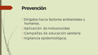 Prevención
Dirigidos hacia factores ambientales y
humanos.
Aplicación de moluscocidas
Campañas de educación sanitaria
Vigilancia epidemiológica.
 