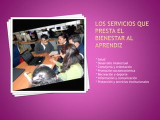 * Salud 
* Desarrollo intelectual 
* Consejería y orientación 
* Promoción socioeconómica 
* Recreación y deporte 
* Información y comunicación 
* Protección y servicios institucionales 

