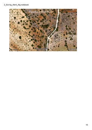 2_Est Ag_Alent_Alg.notebook
10
Figueiras e alfarrobeiras
 