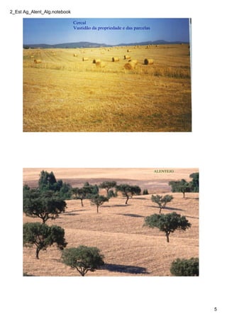 2_Est Ag_Alent_Alg.notebook
5
Cercal
Vastidão da propriedade e das parcelas
ALENTEJO
 