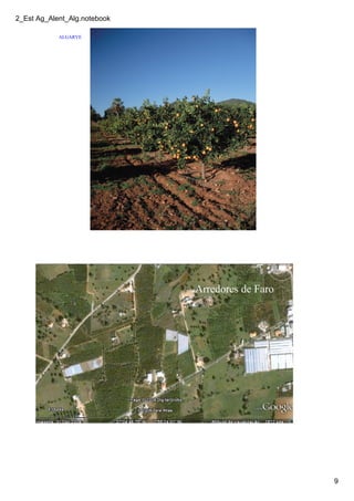 2_Est Ag_Alent_Alg.notebook
9
ALGARVE
Arredores de Faro
 