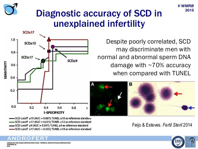 fragmentation infertility