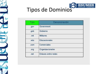 Tipos de Dominios
 