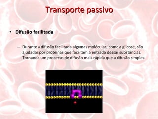 Transporte passivo Difusão facilitada Durante a difusão facilitada algumas moléculas, como a glicose, são ajudadas por proteínas que facilitam a entrada dessas substâncias. Tornando um processo de difusão mais rápida que a difusão simples. 