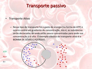 Transporte passivo Transporte Ativo Nesse tipo de transporte há o gasto de energia (na forma de ATP) e ocorre contra um gradiente de concentração, isto é, as substâncias serão deslocadas de onde estão pouco concentradas para onde sua concentração já é alta. O exemplo clássico de transporte ativo é a BOMBA DE SÓDIO E POTÁSSIO. ATP Na+ K+ 