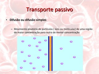 Transporte passivo Difusão ou difusão simples Movimento aleatório de partículas ( íons ou moléculas) de uma região de maior concentração para outra de menor concentração 
