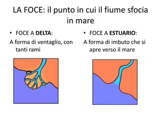 LA FOCE: il punto in cui il fiume sfocia 
in mare 
• FOCE A DELTA: 
A forma di ventaglio, con 
tanti rami 
• FOCE A ESTUARIO: 
A forma di imbuto che si 
apre verso il mare 
 