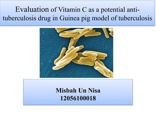 Evaluation of Vitamin C as a potential anti-
tuberculosis drug in Guinea pig model of tuberculosis
Misbah Un Nisa
12056100018
 