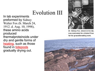 Evolution III
In lab experiments
preformed by Sidney
Walter Fox (b. March 24,
1912. d. Aug. 10, 1998),
these amino acids
produced
thermalproteinoids under
dry and gentle forms of
heating, such as those
found in tidepools
gradually drying out.
 