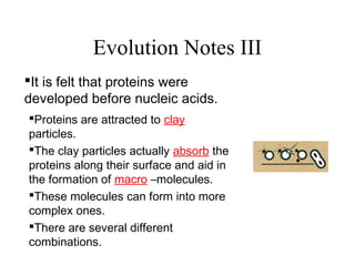 Evolution Notes III
It is felt that proteins were
developed before nucleic acids.
Proteins are attracted to clay
particles.
The clay particles actually absorb the
proteins along their surface and aid in
the formation of macro –molecules.
These molecules can form into more
complex ones.
There are several different
combinations.
 