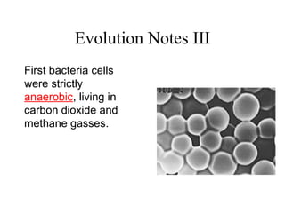 Evolution Notes III
First bacteria cells
were strictly
anaerobic, living in
carbon dioxide and
methane gasses.
 